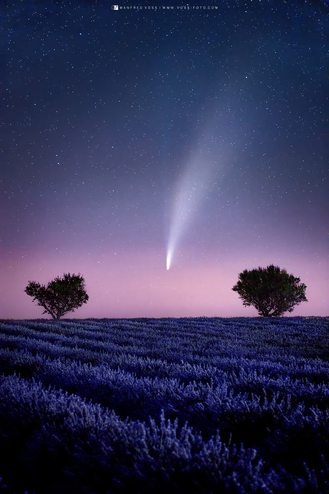 Komet Neowise über einem Lavendelfeld in der Provence / Frankreich