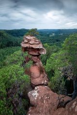 * Buchkammerfelsen * Felsen im Pfälzer Wald