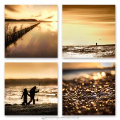 Selections , Amber 3