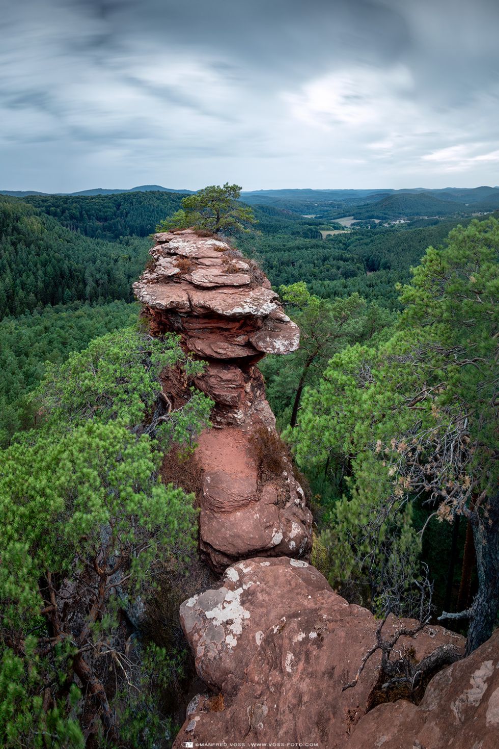 * Buchkammerfelsen * Felsen im Pfälzer Wald