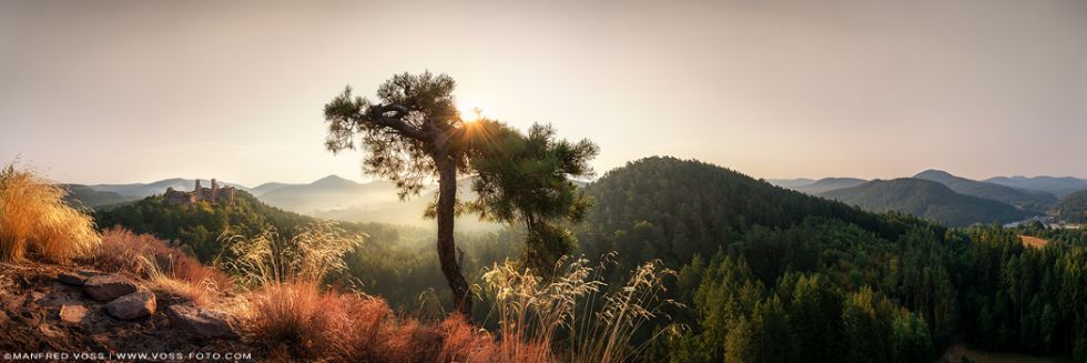 * Haferfels Panorama * Der Haferfelsa im Pfälzer Wald im Sonnenaufgang.