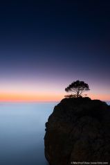 Gracefully , Mallorca, Manfred Voss , Fine Art Photography