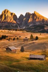 Seiser Alm im goldenen Herbst . Goldener Herbst auf der Seiser Alm in Südtirol in den Dolomiten mit warmen Erdtönen / Erdfarben.