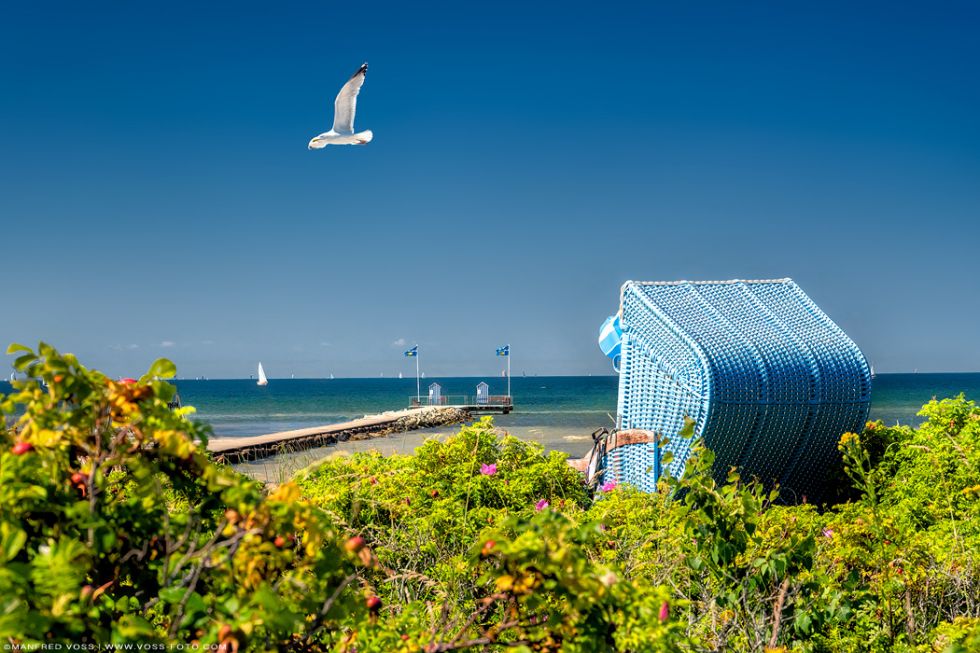 Strand an der Ostsee an der Kieler Förde beim Ort Stein mit Strankorb und typisch nordeutscher Möve an einem warmen Sommertag.