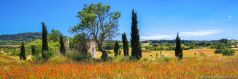 Mallorca, Mallorca, Manfred Voss , Fine Art Photography