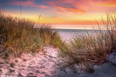Strand mit Dünengras am Darß an der Ostsee in Mecklenburg Vorpommern zum Sonnenaufgang, Mecklenburg Vorpommern /Deutschland