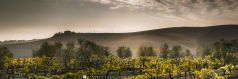 Novemberlicht 2 , Italien, Toscana
