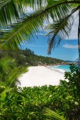 Mahe Secret , Insel Mahe , Seychellen / Indischer Ozean
