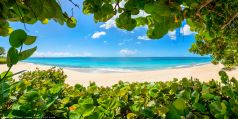 * Antigua Strand Panorama * Karibibischer Strand auf der Insel Antigua.