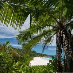 SECRET NATURE , Insel Mahe , Seychellen / Indischer Ozean