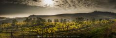 Novemberlicht , Italien, Toscana