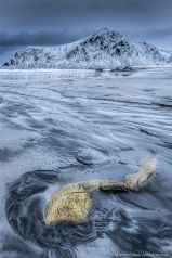 yellow stone , Lofoten / Norwegen