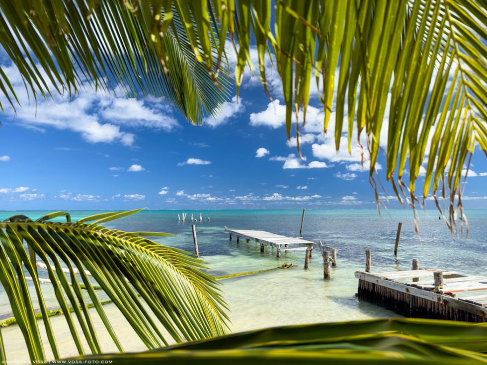 * Karibik Old Jetty * Alter Steg unter Palmen in türkis farbenem Meer in der Karibik in Mittelamerika