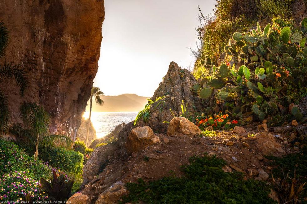* Andalusien Nature * Versteckte Bucht mit Strand un typischer Vegetation mit Kakteen , Palmen und Blumen bei der Stadt Nerja in Andalusien in der Provinz Malaga in Spanien.