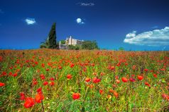 Finca, Mallorca, Manfred Voss , Fine Art Photography