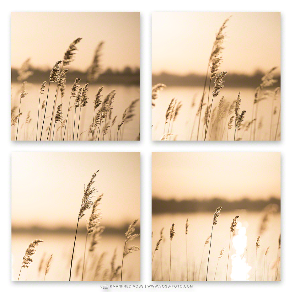 Selections , Vanille 2