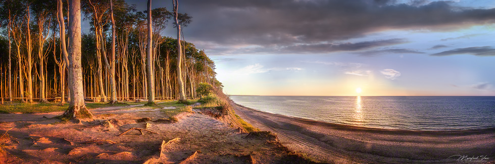 Gespensterwald mit Baumwurzeln bei Nienhagen an der Ostsee in Mecklenburg Vorpommern zum Sonnenuntergang