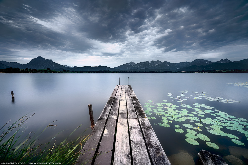 Stimmungsvoller Hopfensee in den allgäuer Alpen. Dramatischer Himmel am See mit blühenden Seerosen und den Alpen im Hintergrund.