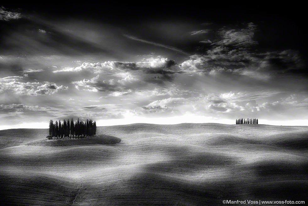 Fields of Gold BW , Italien, Toscana