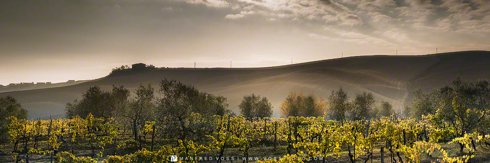 Novemberlicht 2 , Italien, Toscana