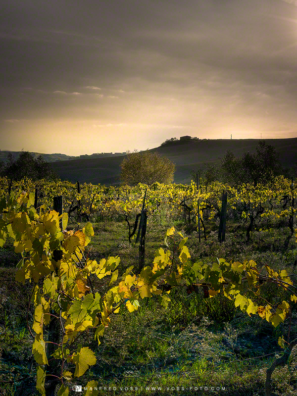 Novemberlicht 3 , Italien, Toscana