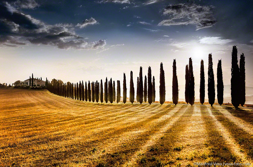 Shadows , Italien, Toscana