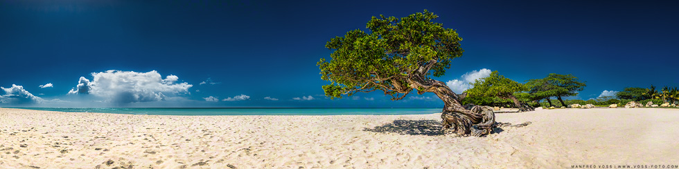 Aruba / Karibik / Caribbean Sea