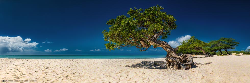 Aruba / Karibik / ABC - Inseln / Caribbean Sea