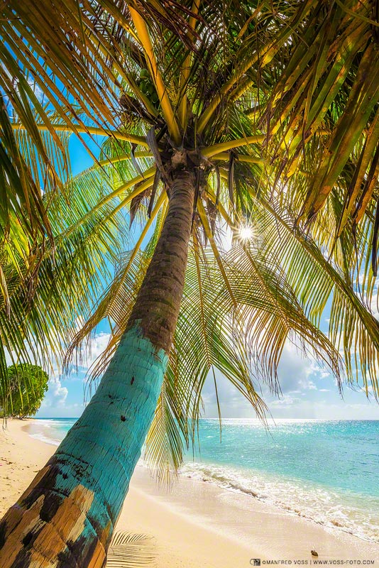 Barbados / Karibik / Caribbean Sea