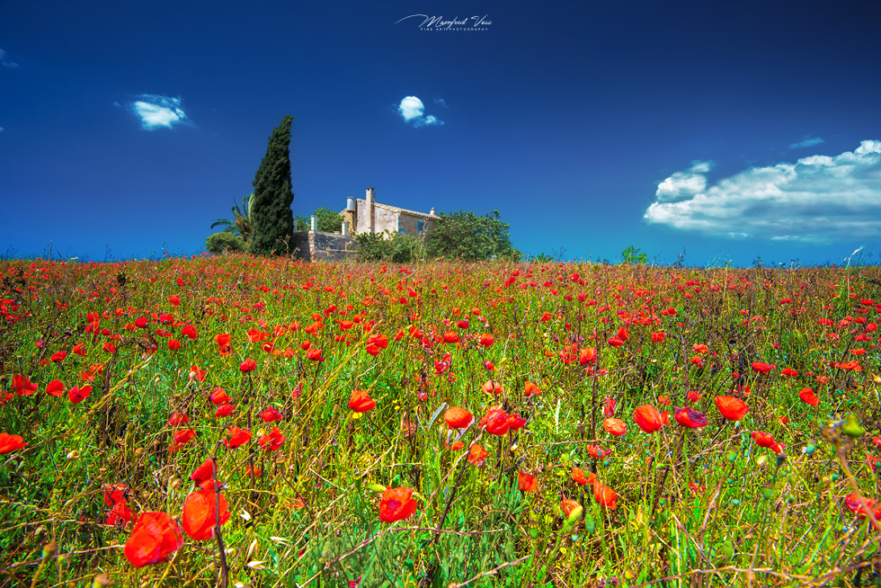 Finca, Mallorca, Manfred Voss , Fine Art Photography