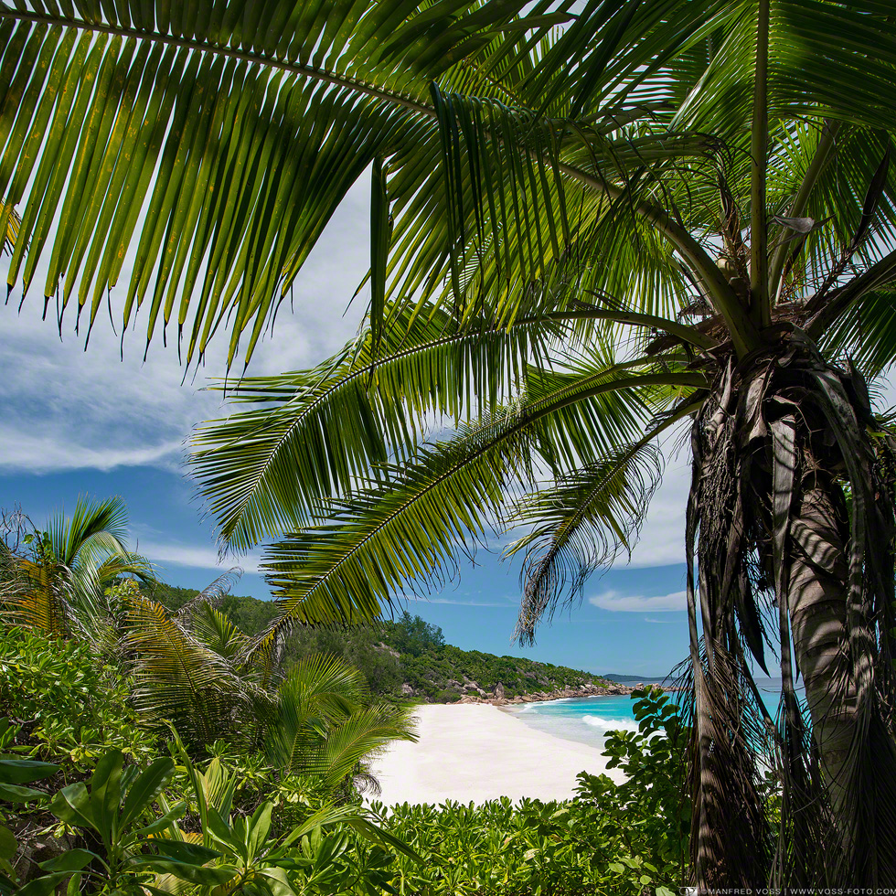 SECRET NATURE , Insel Mahe , Seychellen / Indischer Ozean