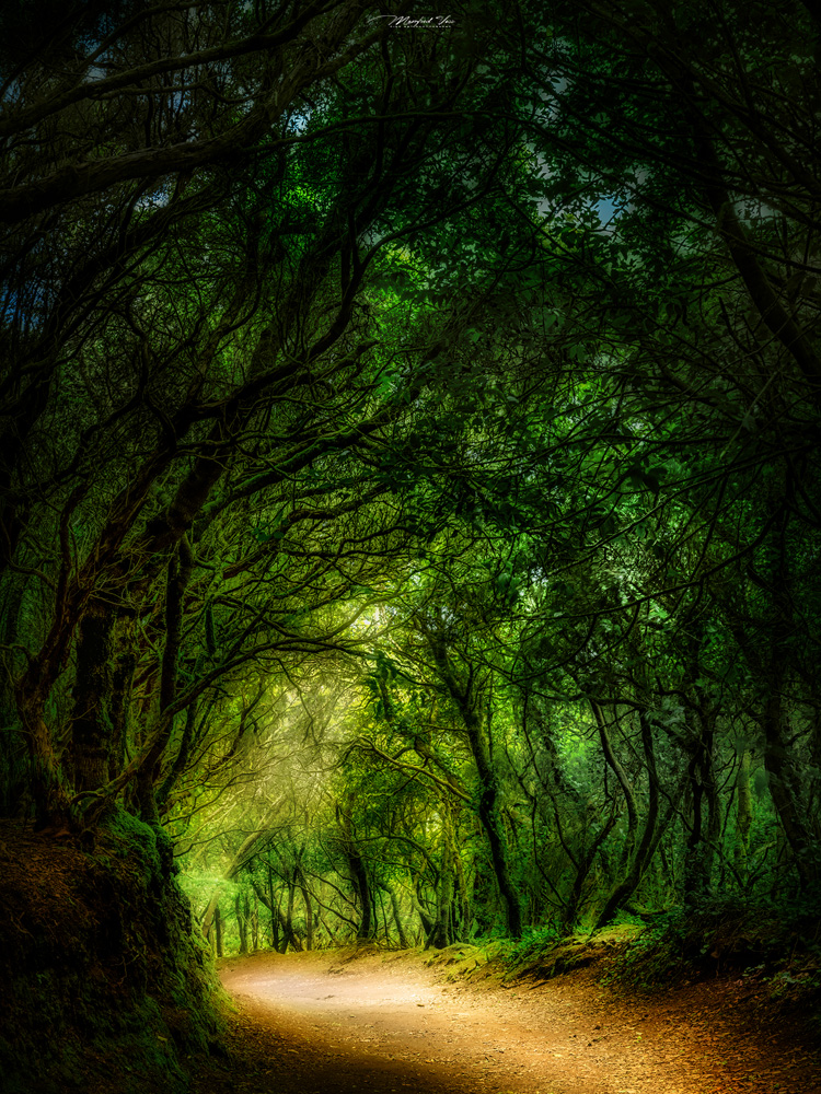 Angab, Teneriffa , Spanien