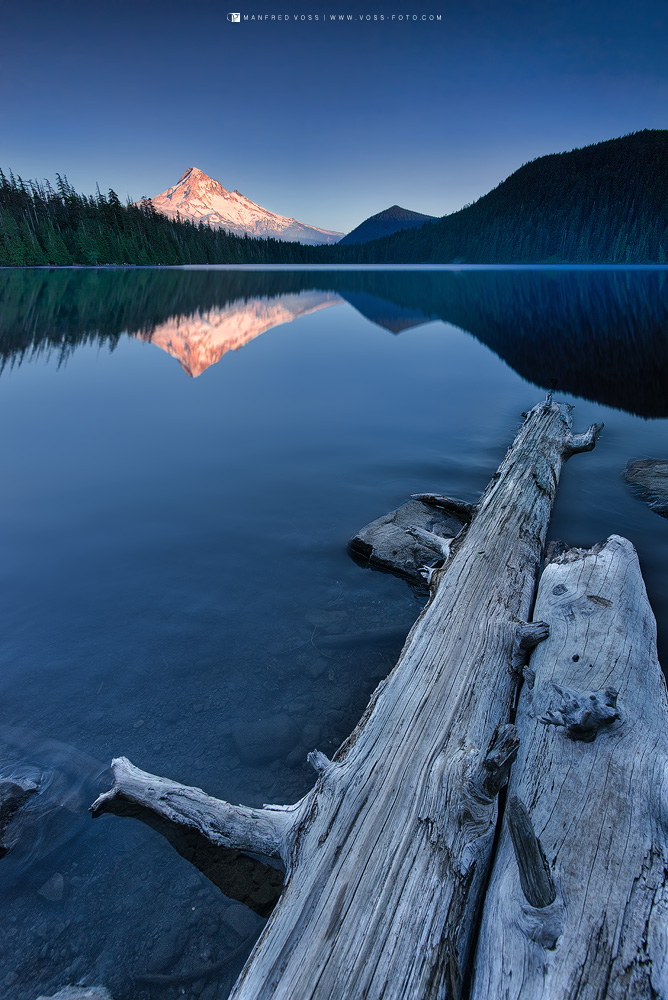 Mountain Glow, Mt. Hood National Forest / Oregon / USA